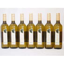 イタリア白ワイン チェヴィコ　ブルーサ ビアンコ 750ml×7