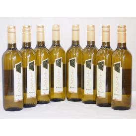 イタリア白ワイン チェヴィコ　ブルーサ ビアンコ 750ml×8