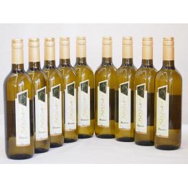 イタリア白ワイン チェヴィコ　ブルーサ ビアンコ 750ml×9