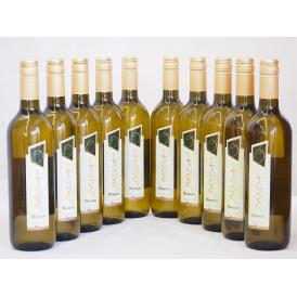 イタリア白ワイン チェヴィコ　ブルーサ ビアンコ 750ml×10