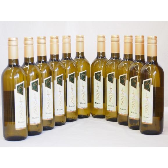 イタリア白ワイン チェヴィコ　ブルーサ ビアンコ 750ml×1101