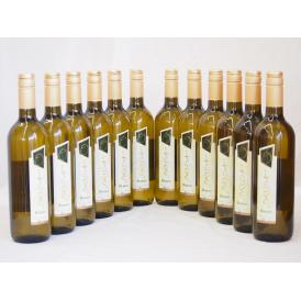 イタリア白ワイン チェヴィコ　ブルーサ ビアンコ 750ml×12