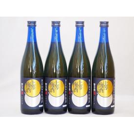 上等梅酒 星舎無添加 梅の香りにブランデーの華やかさが加え 本坊酒造(鹿児島県)720ml×4