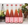 篠崎 あまおう梅酒あまおう、はじめました（福岡県）500ml×4本