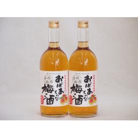 紀州産南高梅100％ おばあちゃんの梅酒 中埜酒造 720ml×2