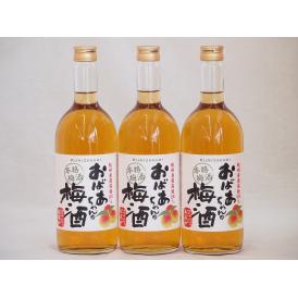 紀州産南高梅100％ おばあちゃんの梅酒 中埜酒造 720ml×3