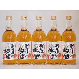 紀州産南高梅100％ おばあちゃんの梅酒 中埜酒造 720ml×5