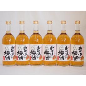 紀州産南高梅100％ おばあちゃんの梅酒 中埜酒造 720ml×6