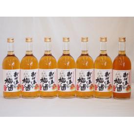 紀州産南高梅100％ おばあちゃんの梅酒 中埜酒造 720ml×7