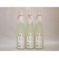 ゆずリキュール 柚子小町 (長崎県)500ml×3