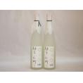 ゆずリキュール 柚子小町S (長崎県)500ml×2