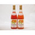 北海道産葡萄使用 プレミアムキャンベルロゼ 甘口 720ml×2本