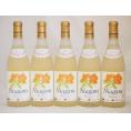 北海道産葡萄使用 完熟ナイアガラ白 甘口 720ml×5本