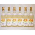 北海道産葡萄使用 完熟ナイアガラ白 甘口 720ml×6本