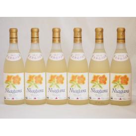 北海道産葡萄使用 完熟ナイアガラ白 甘口 720ml×6本