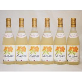北海道産葡萄使用 完熟ナイアガラ白 甘口 720ml×6本