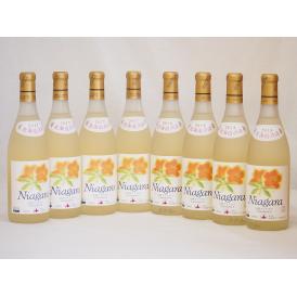 北海道産葡萄使用 完熟ナイアガラ白 甘口 720ml×8本