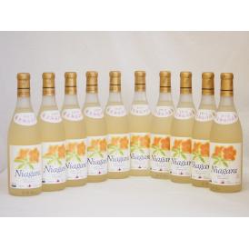北海道産葡萄使用 完熟ナイアガラ白 甘口 720ml×10本