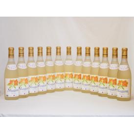 北海道産葡萄使用 完熟ナイアガラ白 甘口 720ml×13本