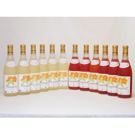 北海道産葡萄使用甘口セット 完熟ナイアガラ白6本 プレミアムキャンベルロゼ6本 720ml×12本