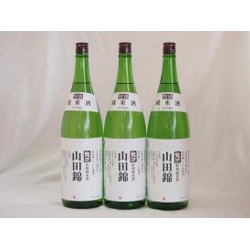 本田商店 山田錦100％ 龍力 特別純米酒(兵庫県) 1800ml×3本