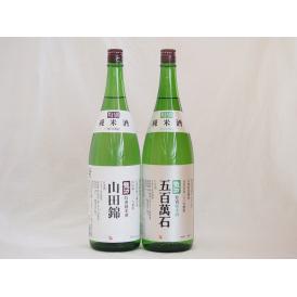 龍力セット 本田商店 山田錦×五百万石100％ 特別純米酒(兵庫県) 1800ml×2本
