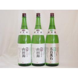 龍力特別純米酒セット 本田商店 山田錦2本 ×五百万石1本 (兵庫県) 1800ml×3本