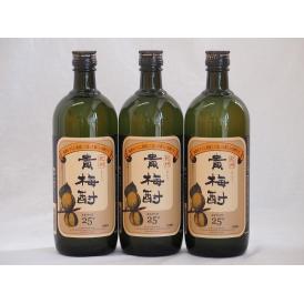 紀州貴梅酎 梅酒スピリッツ25度 中野BC(和歌山県)720ml×3