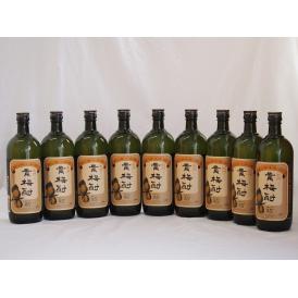 紀州貴梅酎 梅酒スピリッツ25度 中野BC(和歌山県)720ml×9