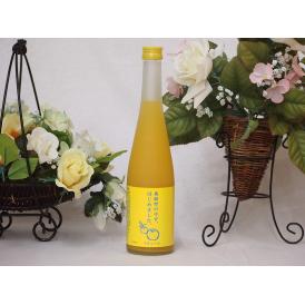 篠崎 柚子梅酒ゆず、はじめました（福岡県）500ml×1本