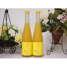 篠崎 柚子梅酒ゆず、はじめました（福岡県）500ml×2本