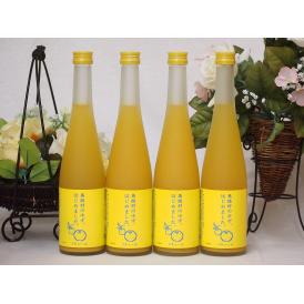 篠崎 柚子梅酒ゆず、はじめました（福岡県）500ml×4本