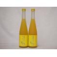 篠崎 柚子梅酒ゆず、はじめました（福岡県）500ml×2本