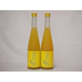 篠崎 柚子梅酒ゆず、はじめました（福岡県）500ml×2本