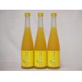 篠崎 柚子梅酒ゆず、はじめました（福岡県）500ml×3本