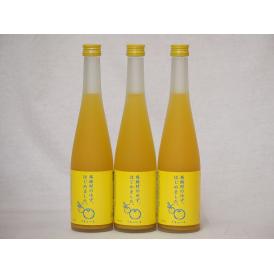 篠崎 柚子梅酒ゆず、はじめました（福岡県）500ml×3本