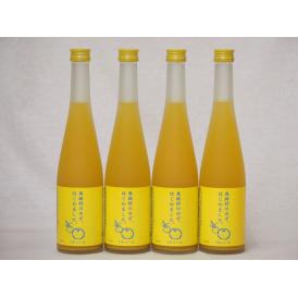 篠崎 柚子梅酒ゆず、はじめました（福岡県）500ml×4本