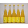 篠崎 柚子梅酒ゆず、はじめました（福岡県）500ml×5本