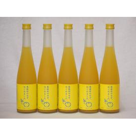 篠崎 柚子梅酒ゆず、はじめました（福岡県）500ml×5本