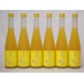 篠崎 柚子梅酒ゆず、はじめました（福岡県）500ml×6本