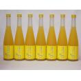 篠崎 柚子梅酒ゆず、はじめました（福岡県）500ml×7本