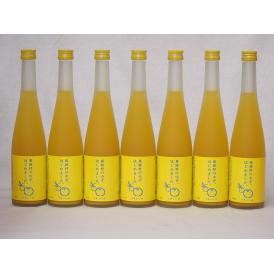 篠崎 柚子梅酒ゆず、はじめました（福岡県）500ml×7本