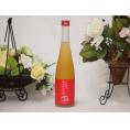 篠崎 りんご梅酒りんご、はじめました（福岡県）500ml×1本