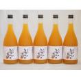 紀州完熟みかん梅酒 中野BC(和歌山県)720×5本
