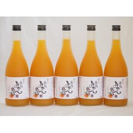 紀州完熟みかん梅酒 中野BC(和歌山県)720×5本
