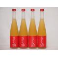 篠崎 りんご梅酒りんご、はじめました（福岡県）500ml×4本
