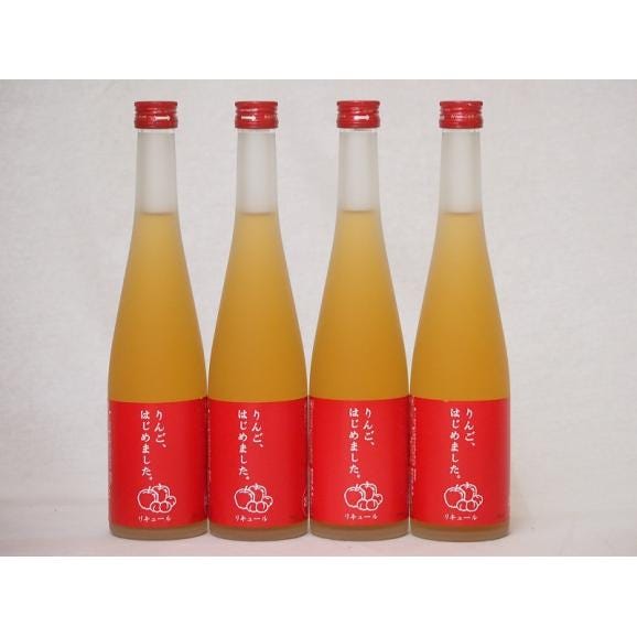 篠崎 りんご梅酒りんご、はじめました（福岡県）500ml×4本