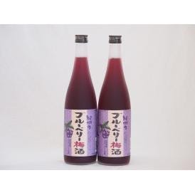 紀州のブルーベリー梅酒 中野BC(和歌山県)720ml×2本