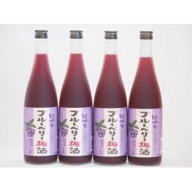 紀州のブルーベリー梅酒 中野BC(和歌山県)720ml×4本