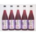紀州のブルーベリー梅酒 中野BC(和歌山県)720ml×5本